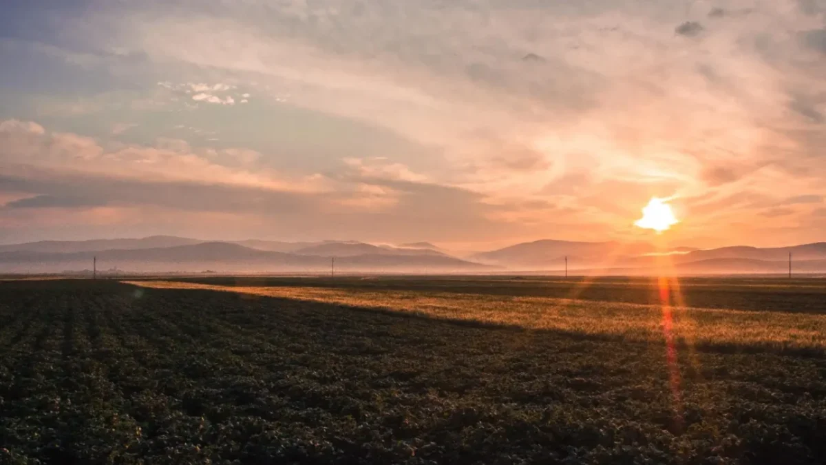 Sunset over a flat farmland with distant mountains and a warm orange glow across the sky and ground.—landscape.