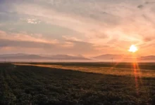 Sunset over a flat farmland with distant mountains and a warm orange glow across the sky and ground.—landscape.