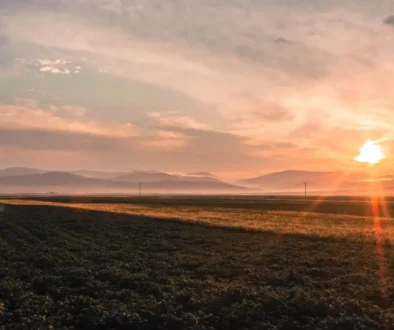 Sunset over a flat farmland with distant mountains and a warm orange glow across the sky and ground.—landscape.