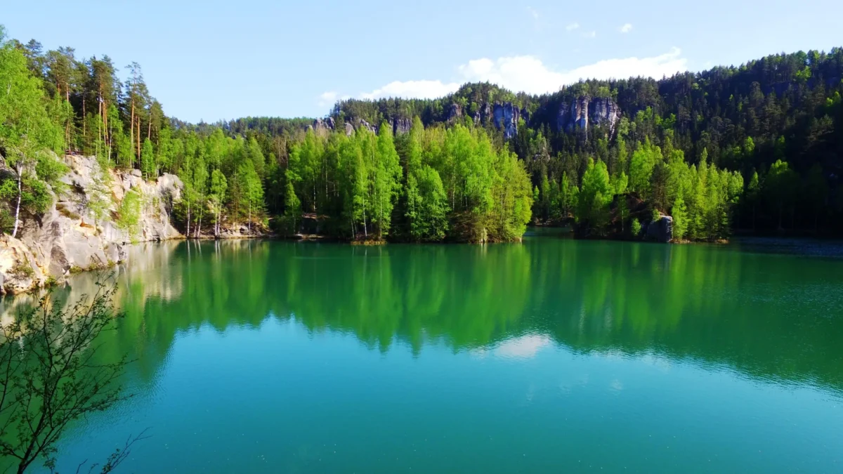 Jezero obehnané lesy