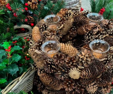 Adventní věnec zdarma - ze šišek