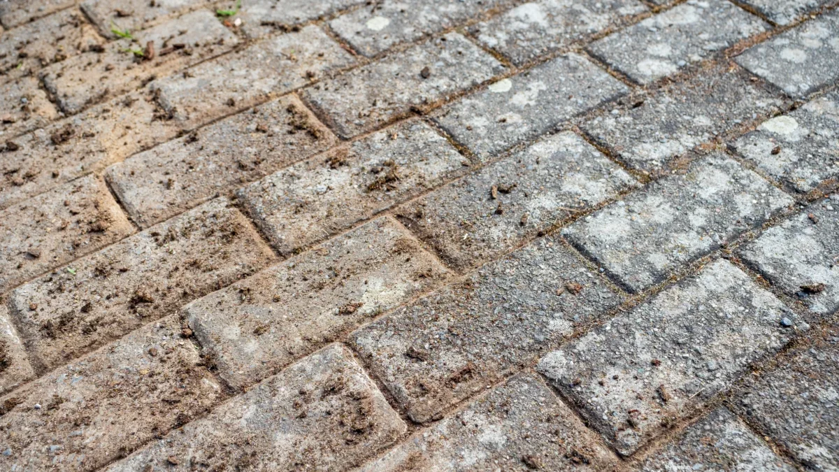 Close-up of a weathered brick sidewalk with dirt and tiny weeds growing between the gaps