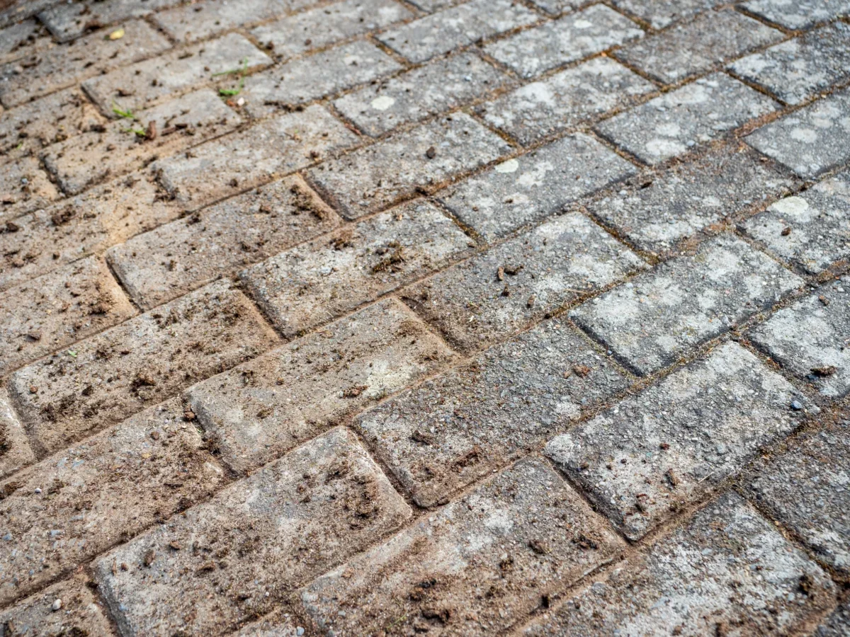 Close-up of a weathered brick sidewalk with dirt and tiny weeds growing between the gaps