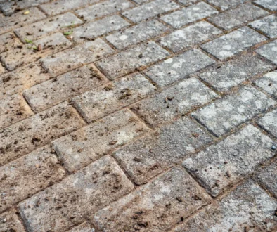 Close-up of a weathered brick sidewalk with dirt and tiny weeds growing between the gaps