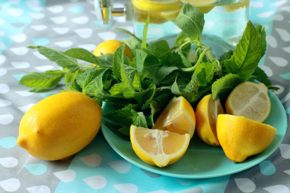shutterstock_1470702065-2 | TVGURU.cz Na talíři leží citrony a máta.