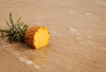 Pineapple half with green crown resting on a wooden table surface.