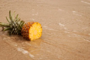 Pineapple half with green crown resting on a wooden table surface.