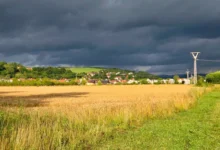 Nad polem je černé nebe.
