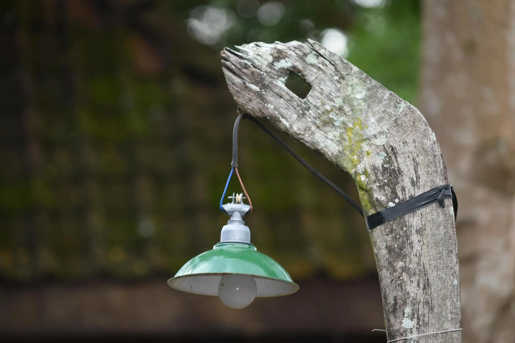 Lampa visí na dřevě