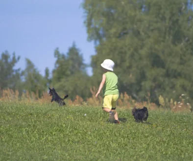 Dítě s pejsky běhá po louce.