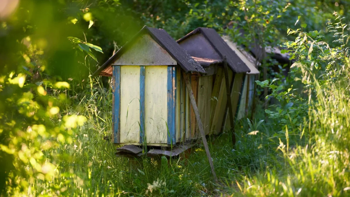 Včelí úly