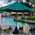 Resort pool area with striped lounge chairs under a green umbrella, palm trees, and people relaxing by the water.