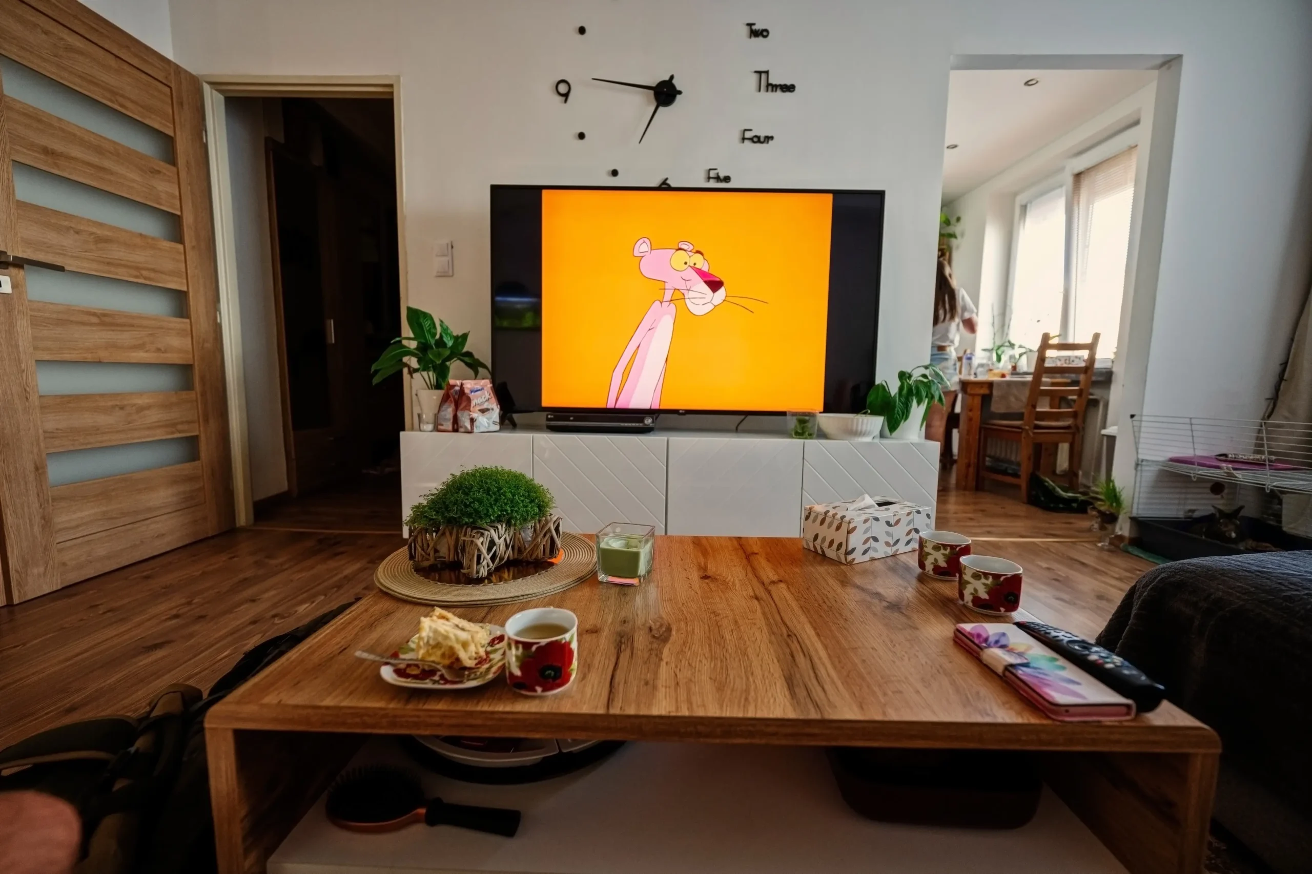 Česká domácnost se zapnutou televizí
