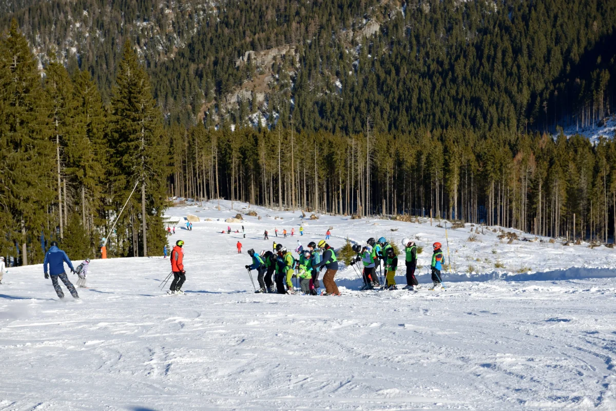 shutterstock_579393376 1 | TVGURU.cz Group of skiers in colorful jackets lined up on a snowy slope with a dense pine forest in the background.