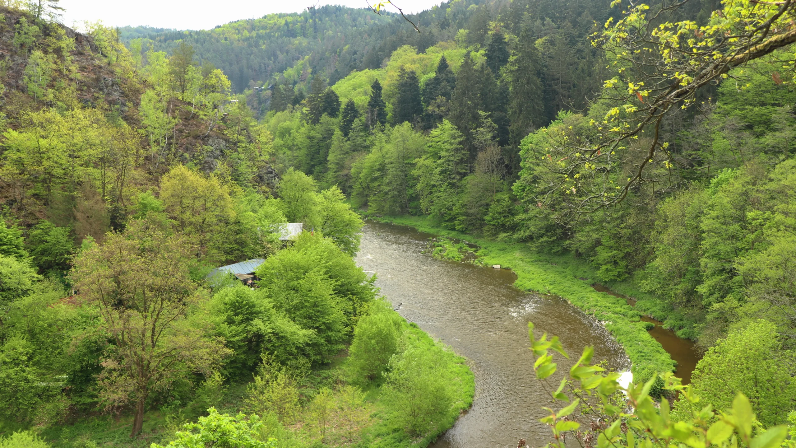 řeka Sázava