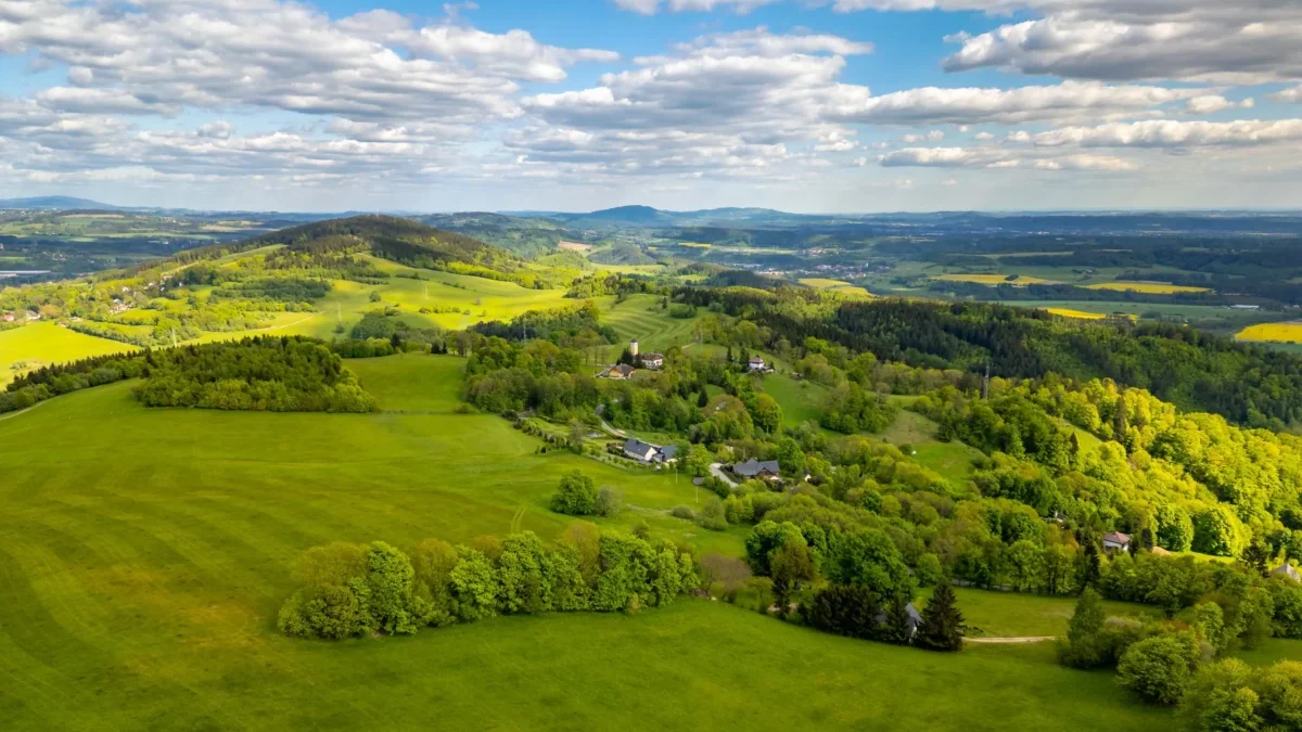 letní krajina