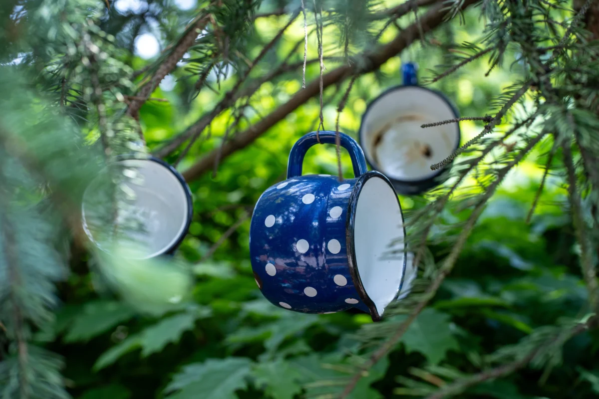 shutterstock_2673756289 1 | TVGURU.cz Blue polka-dotted mugs hanging from evergreen branches on twine in a garden.