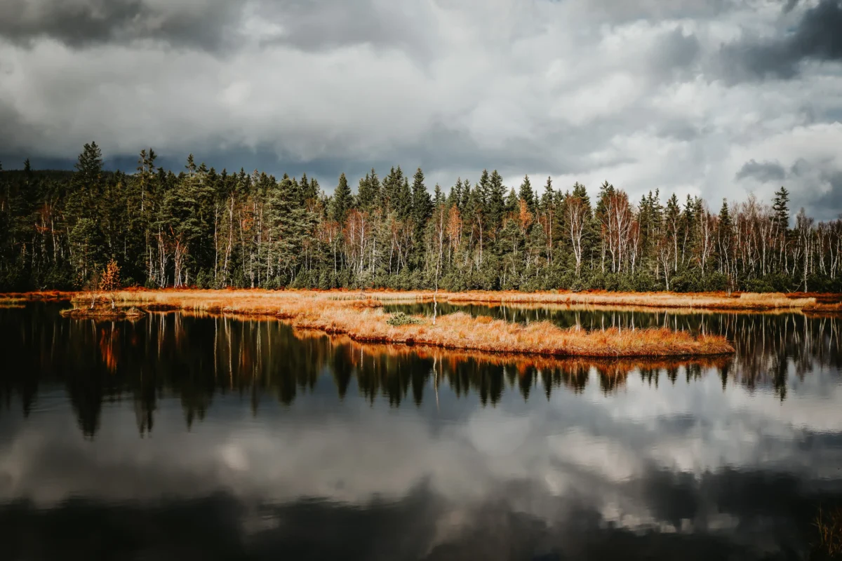 Většinu diváků okouzlila nádherná příroda. Zdroj: Shutterstock | TVGURU.cz Jezero s lesem okolo