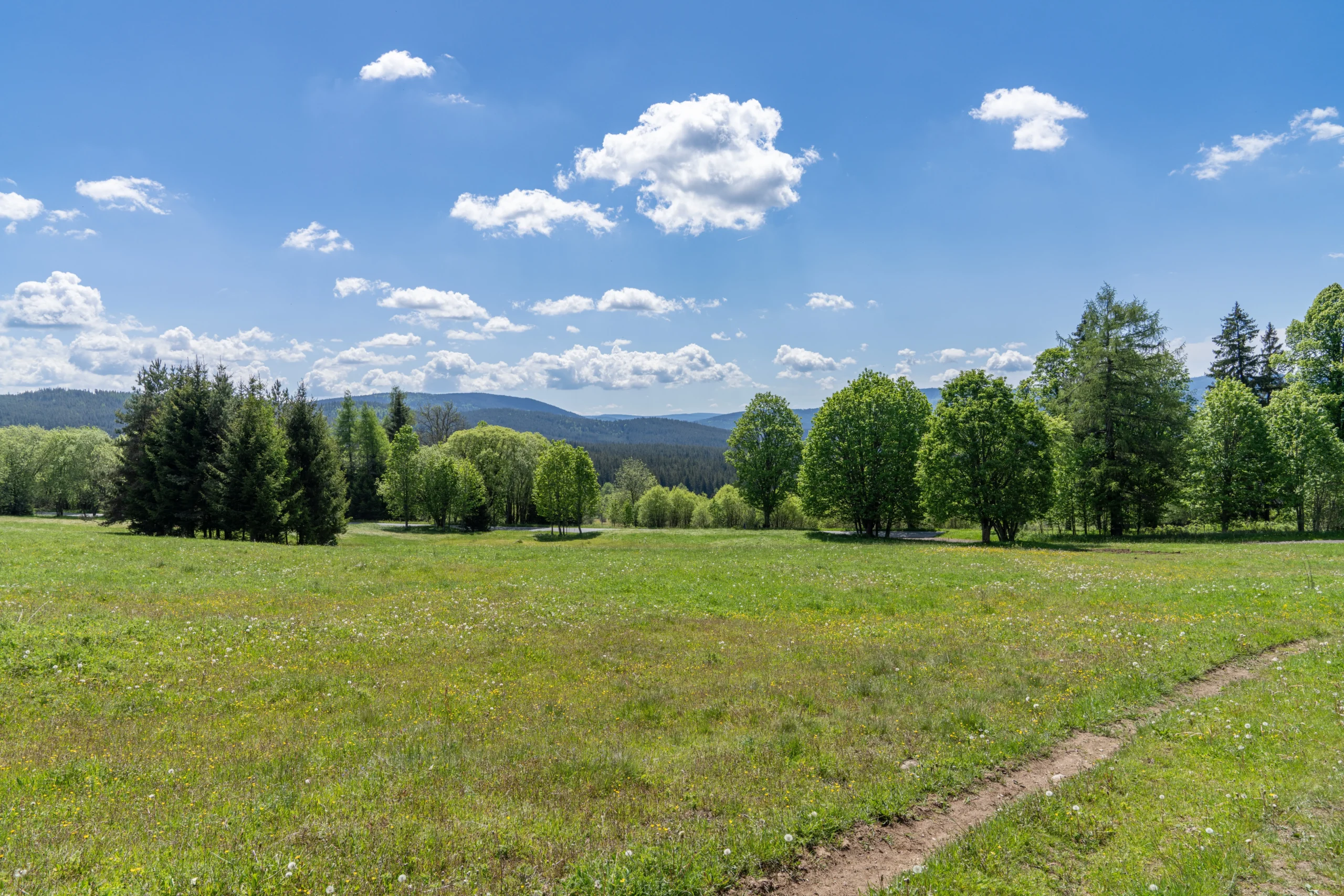 shutterstock_2635248785 | TVGURU.cz Šumava