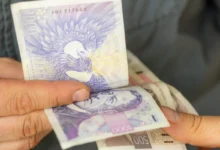 české peníze v ruce