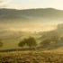 Sunrise over misty hills and fields with scattered trees and a winding road below/through the valley (soft golden light)