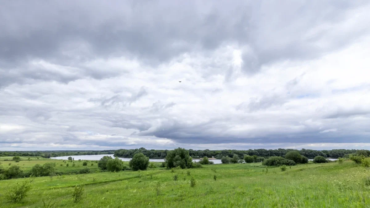 zatažená obloha nad loukou