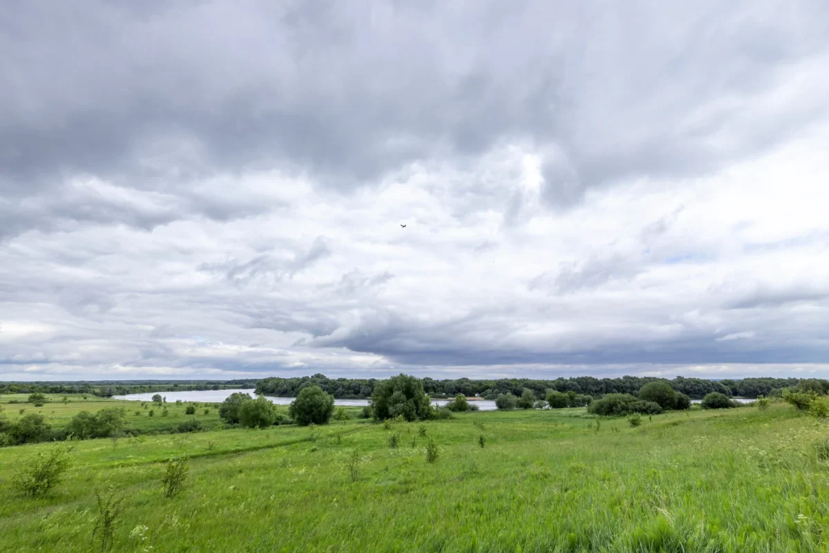 zatažená obloha nad loukou