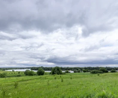 zatažená obloha nad loukou