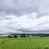 zatažená obloha nad loukou