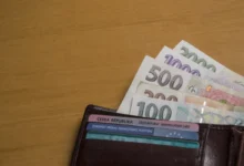 Z peněženky čouhají bankovky.