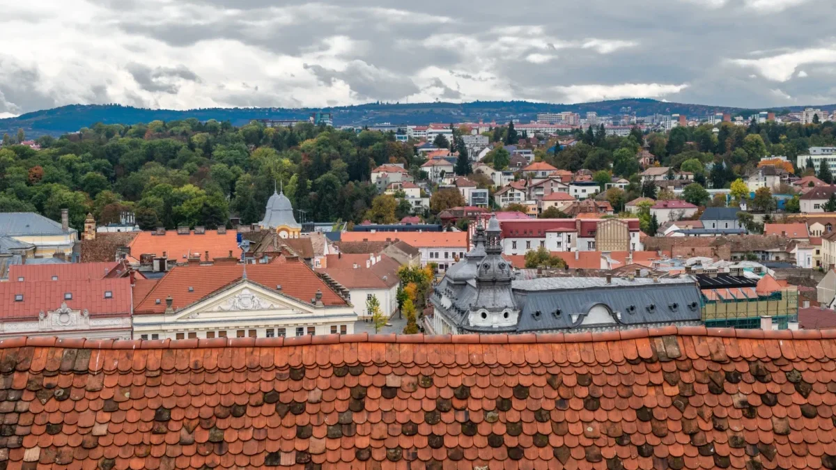 Pohled na střechy domů
