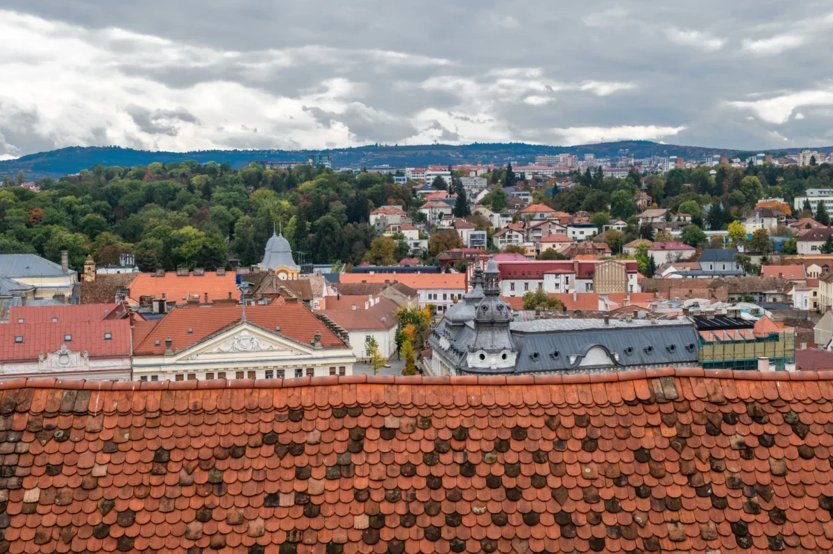 Pohled na střechy domů