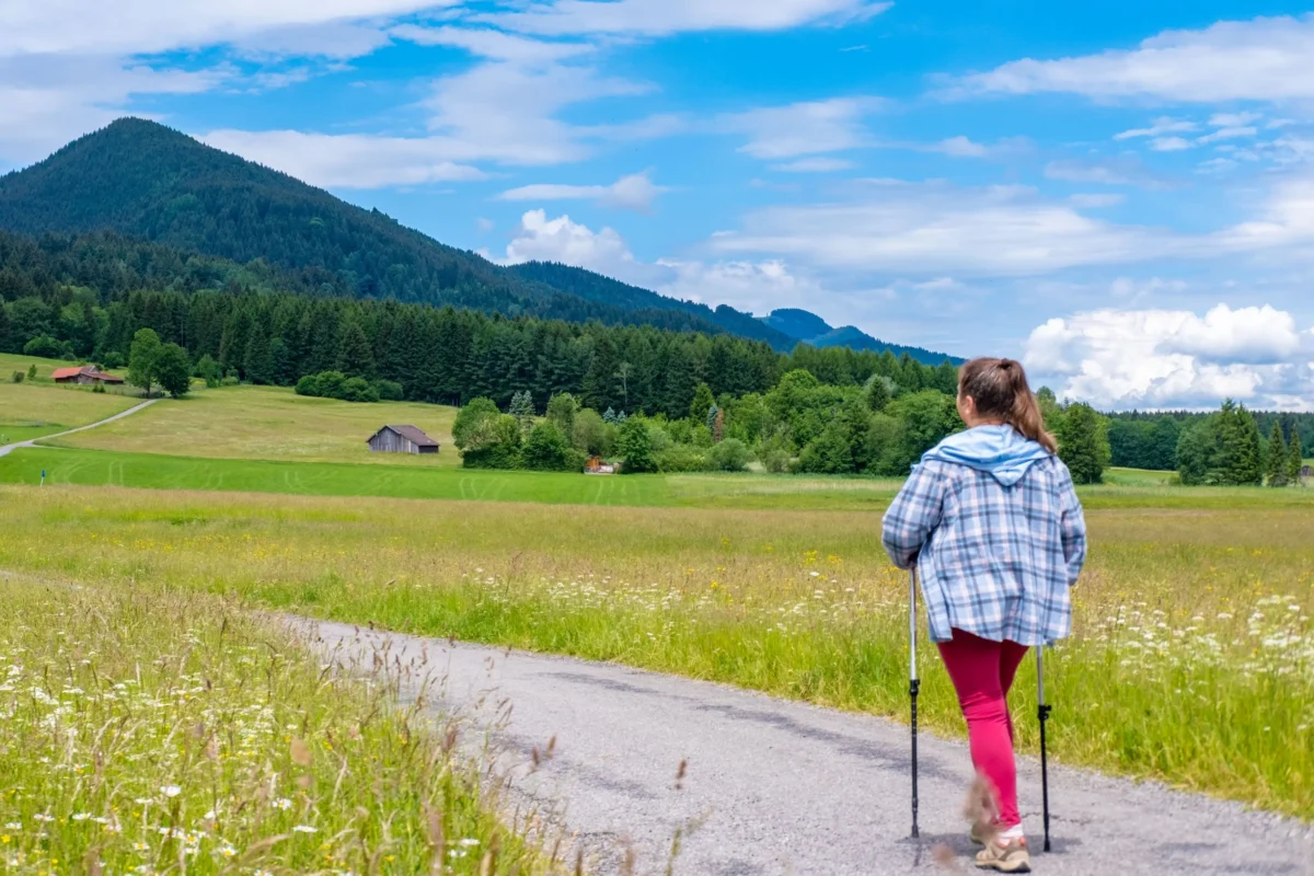 Náklady na pořízení holí pojišťovna může snížit až o 500 Kč. Zdroj: Shutterstock | TVGURU.cz Žena s holemi na cestě mezi loukami