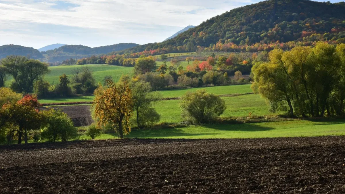 Wide rural landscape with a hillside covered in autumn trees, green fields in the valley, and a plowed field in the foreground.
