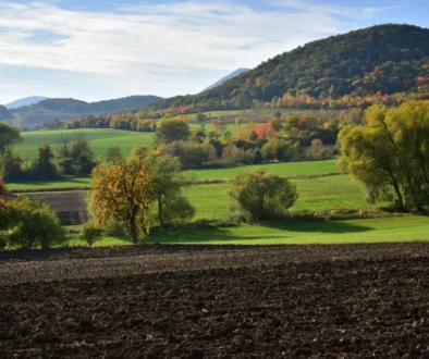 Wide rural landscape with a hillside covered in autumn trees, green fields in the valley, and a plowed field in the foreground.