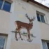 Exterior wall mural of a brown deer with large antlers, sun in the background, and pine trees painted beneath; building windows visible nearby.