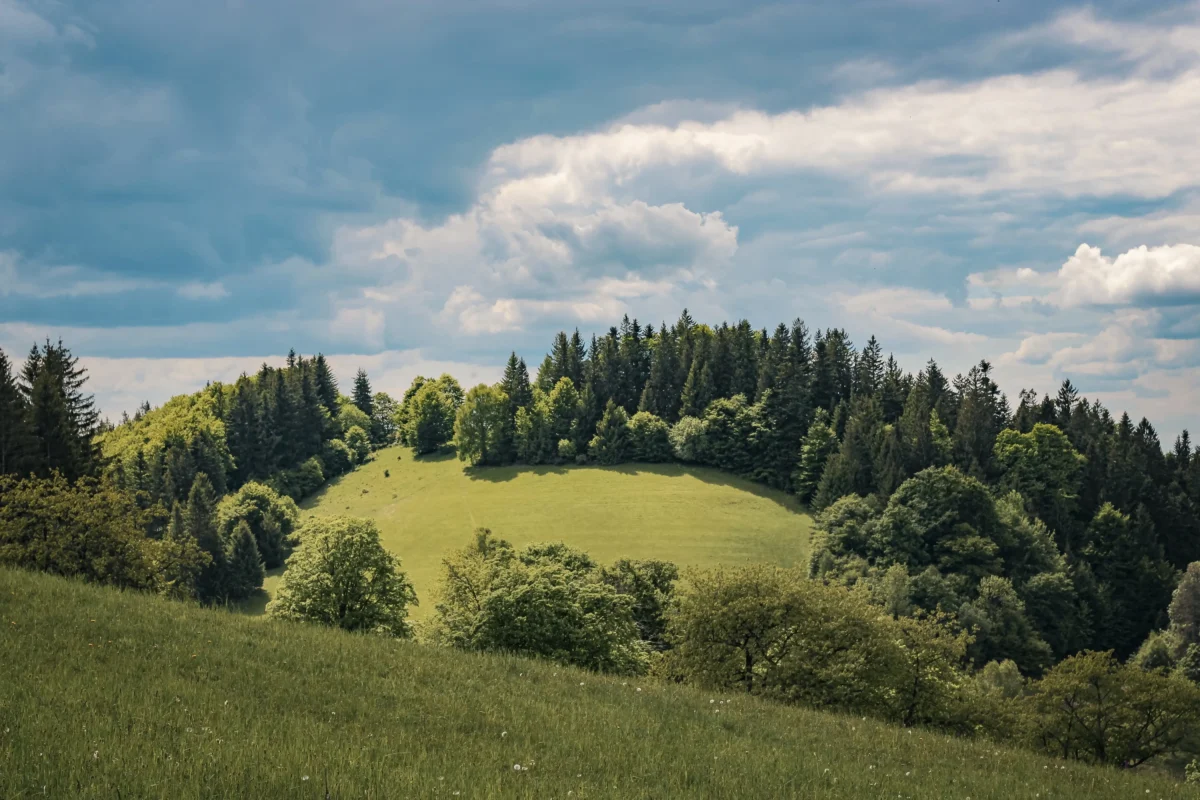 shutterstock_2637161957-2 | TVGURU.cz Kopce v Beskydech