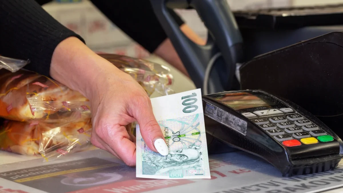 Ruka drží českou stokorunu, vedle je platební terminál