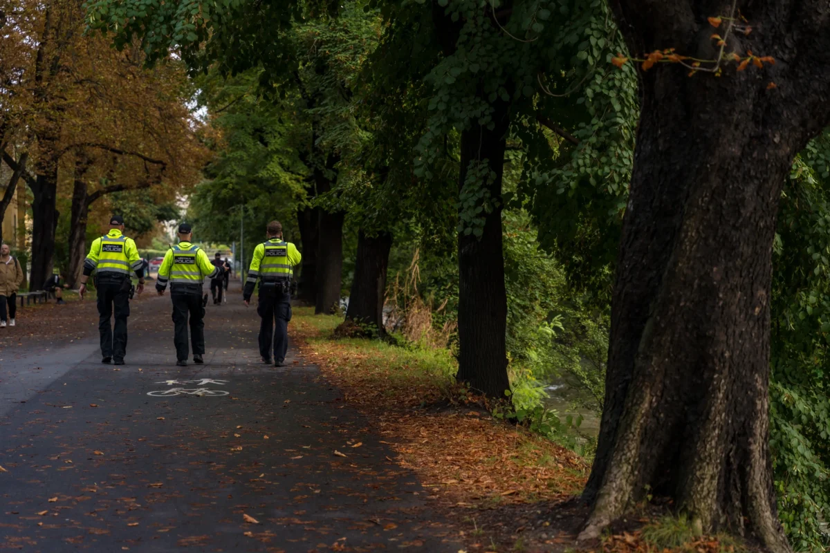 Policisté jdoucí po cestě se stromy