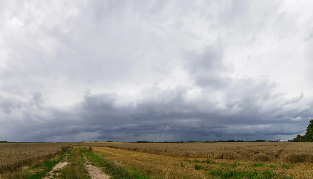 shutterstock_2663027513 1 | TVGURU.cz Wide rural landscape with a dirt path through golden fields toward a dark, cloudy sky on the horizon.