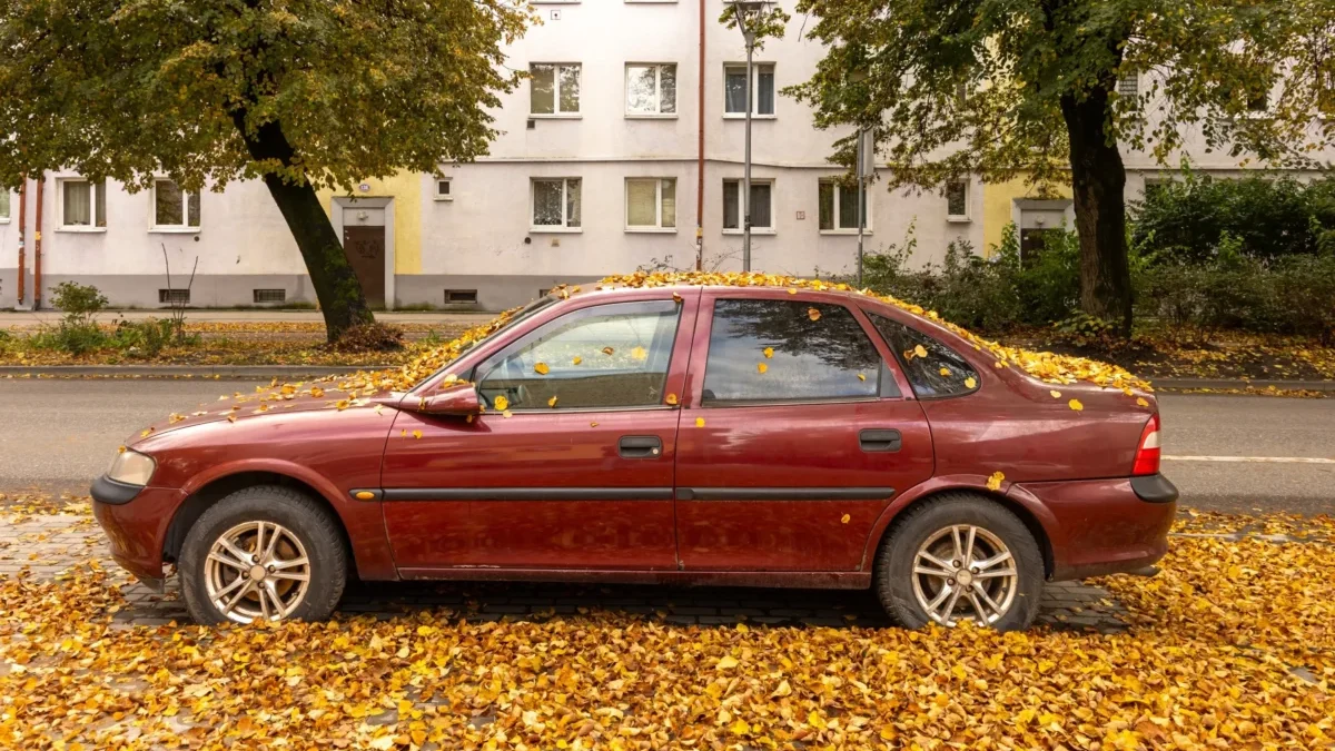 Auto zapadané listím