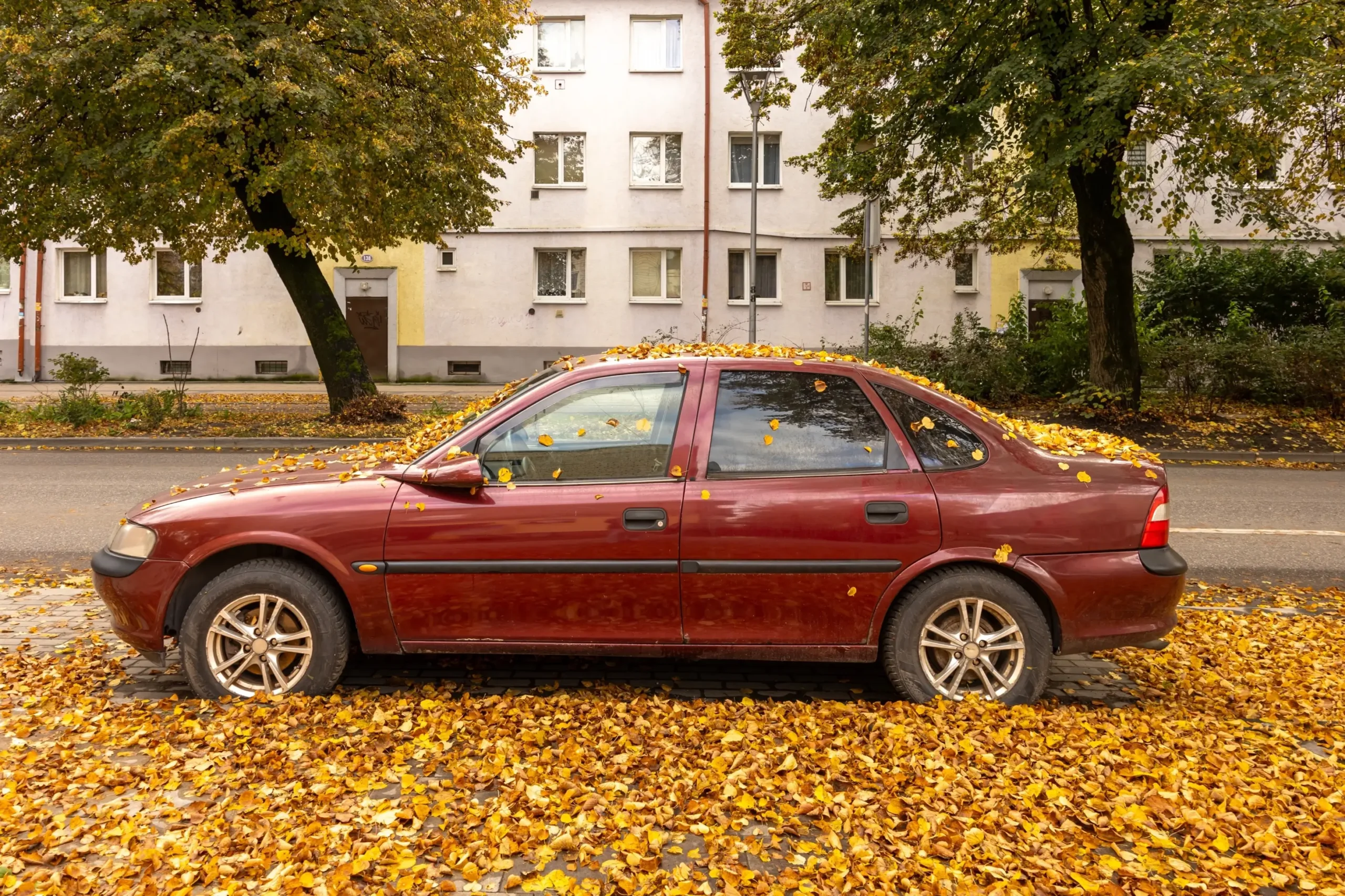 Auto zapadané listím