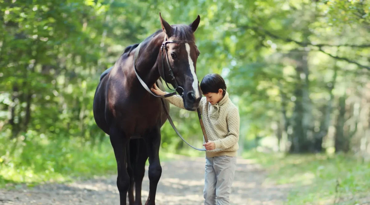 Touha znovu se vrátit do sedla dělá ve filmu divy. Zdroj: Shutterstock | TVGURU.cz Chlapec na cestě s koněm