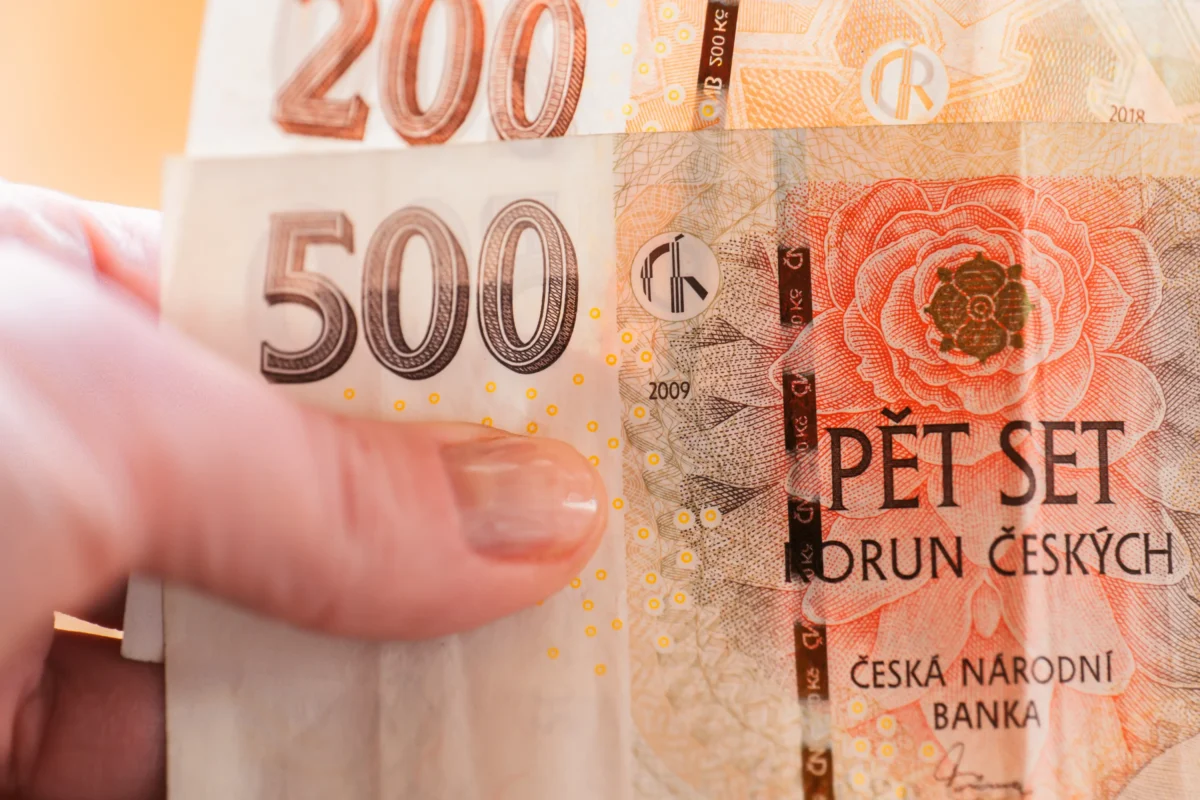 Žena v ruce drží bankovky.
