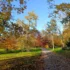 Autumn park with a leaf-covered path, golden and orange trees under a clear blue sky.