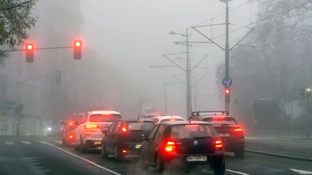 auta na silnici v mlze