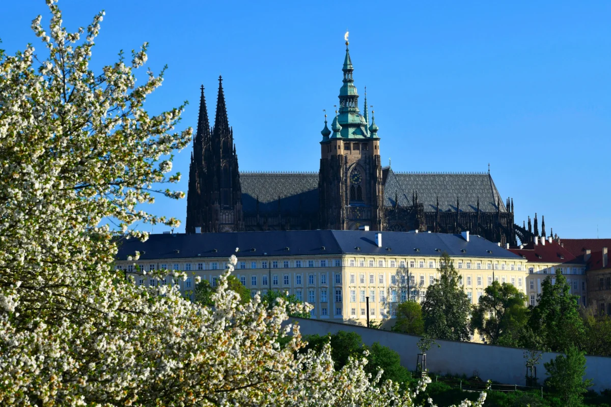 shutterstock_2639024877 1 | TVGURU.cz View of a Gothic cathedral with tall dark spires and a green-domed tower, framed by blooming white flowers against a blue sky.