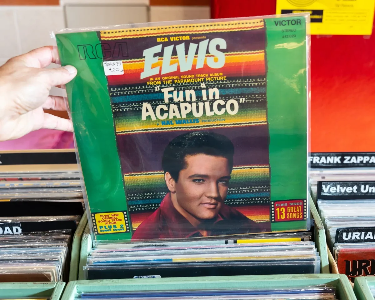 shutterstock_2696583849 1 | TVGURU.cz deska elvis presley