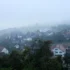 Foggy hillside village with red-roofed houses and trees fading into pale misty sky to the left and across the landscape.