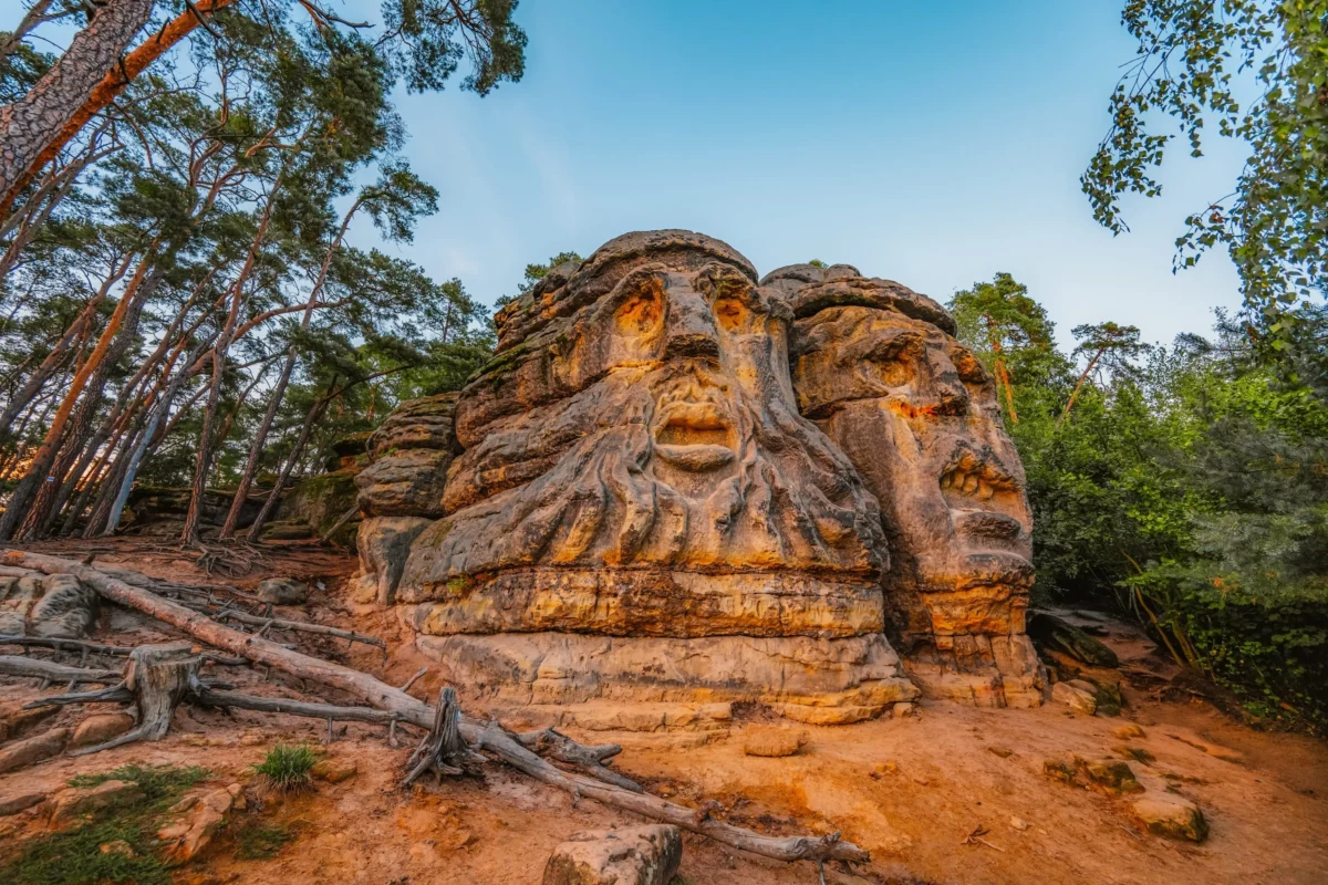 shutterstock_2525775837 1 | TVGURU.cz Large weathered rock formation in a forest clearing, with pine trees and fallen logs; warm golden light highlights the rock faces.